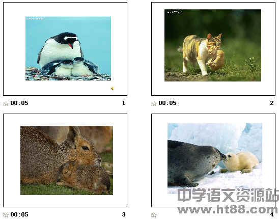 鿴Ԥͼ