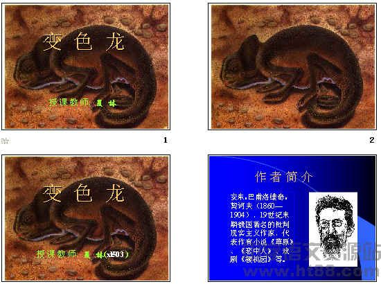 查看预览图