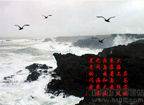 查看预览图