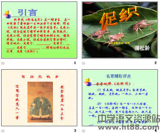 查看预览图