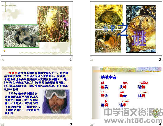 查看预览图