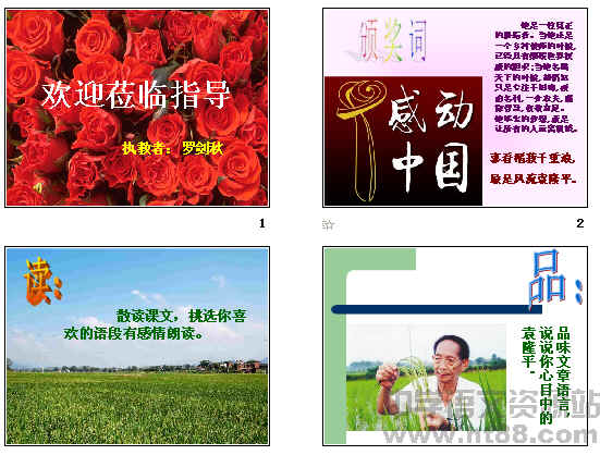 查看预览图