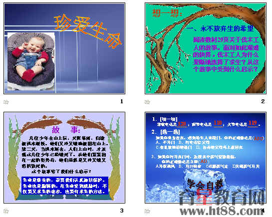 查看预览图