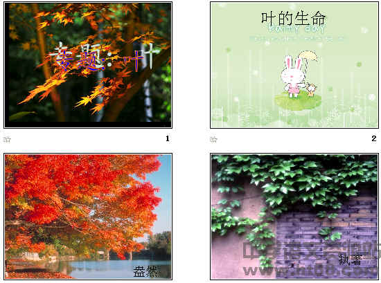查看预览图