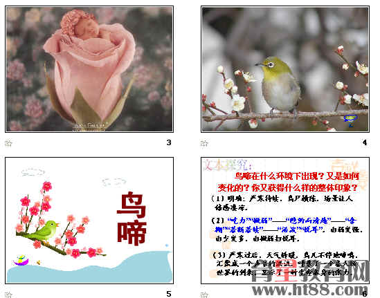 查看预览图