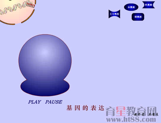 鿴Ԥͼ