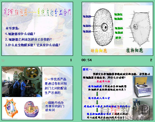 鿴Ԥͼ