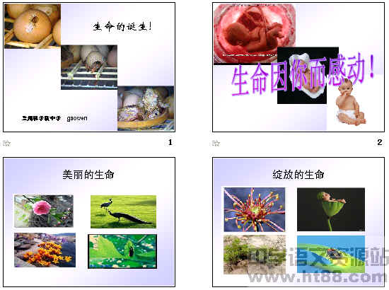 查看预览图