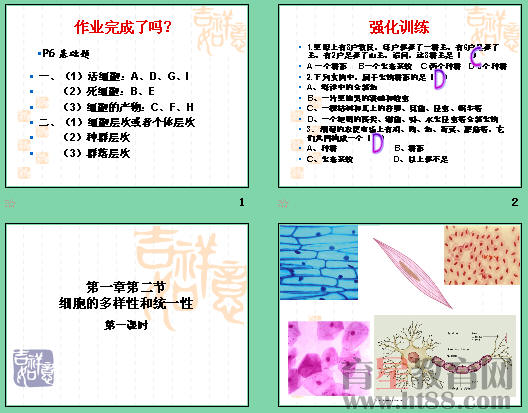 鿴Ԥͼ