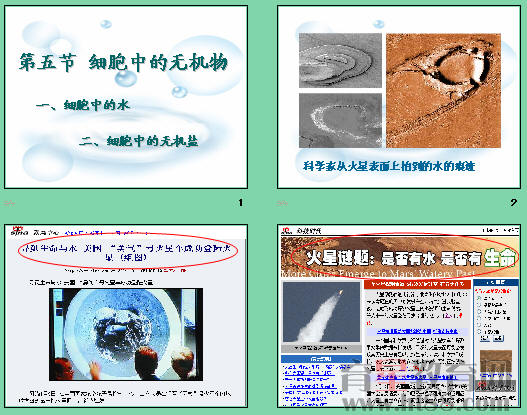 鿴Ԥͼ