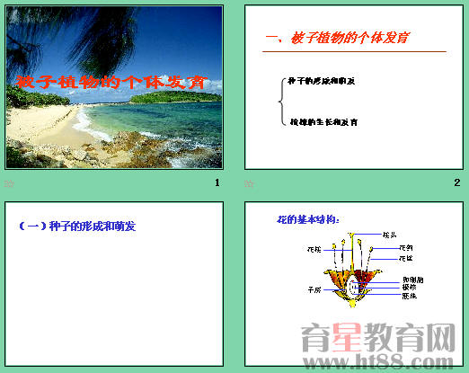 鿴Ԥͼ