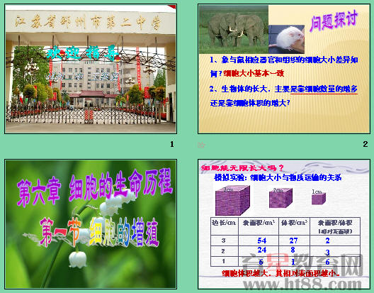 鿴Ԥͼ