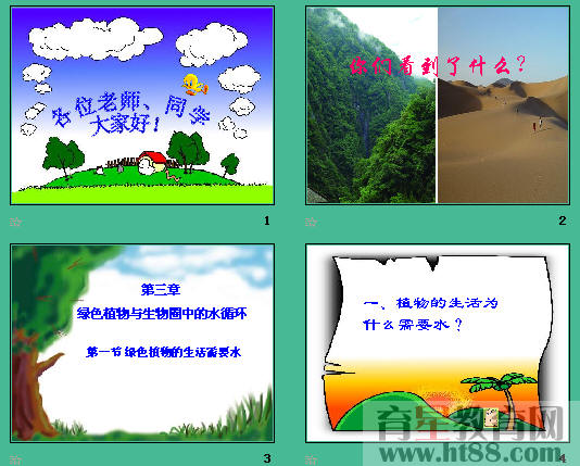 查看预览图