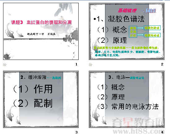 鿴Ԥͼ