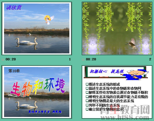 查看预览图