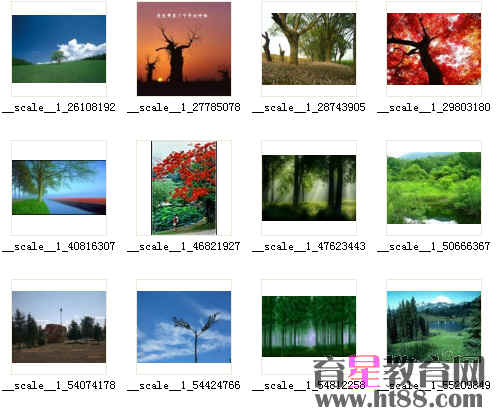 查看预览图