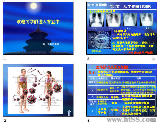 鿴Ԥͼ