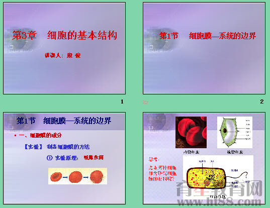 鿴Ԥͼ