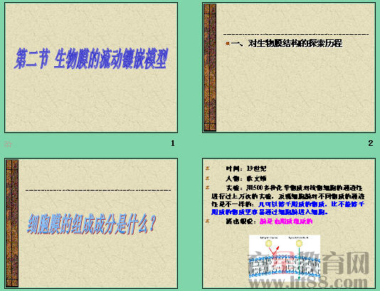 鿴Ԥͼ