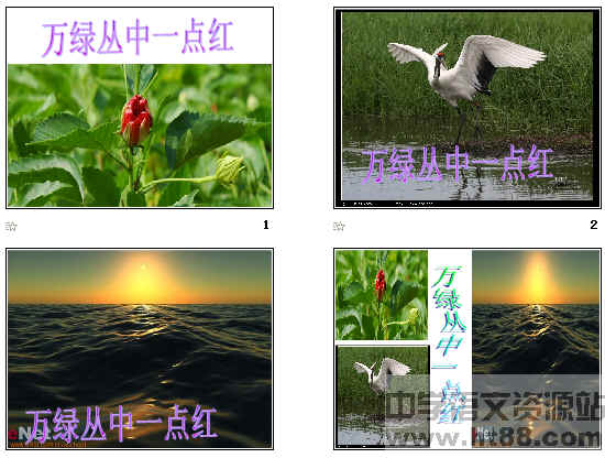 查看预览图