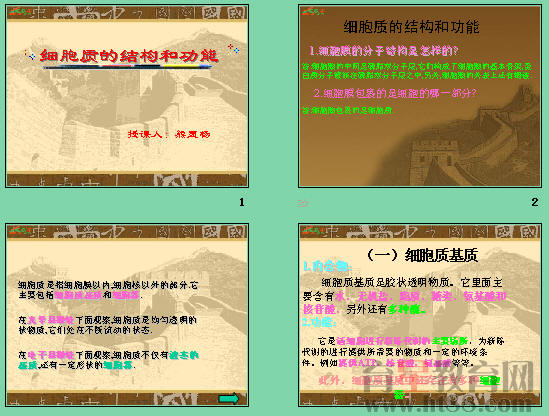 鿴Ԥͼ