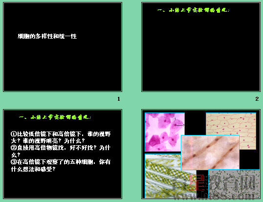 鿴Ԥͼ