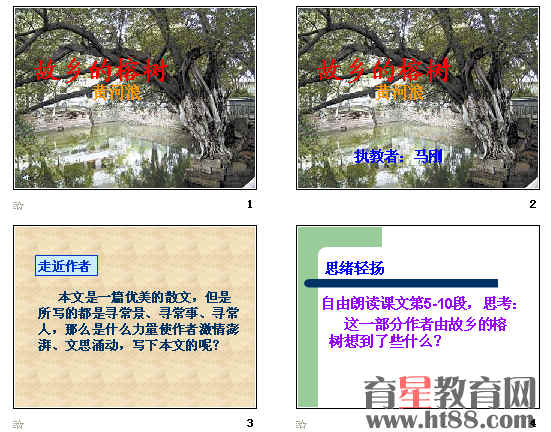 查看预览图