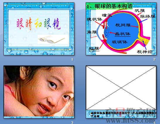 鿴Ԥͼ