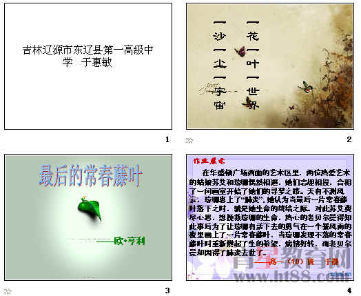 查看预览图