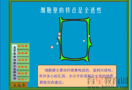 鿴Ԥͼ