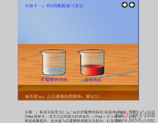 鿴Ԥͼ