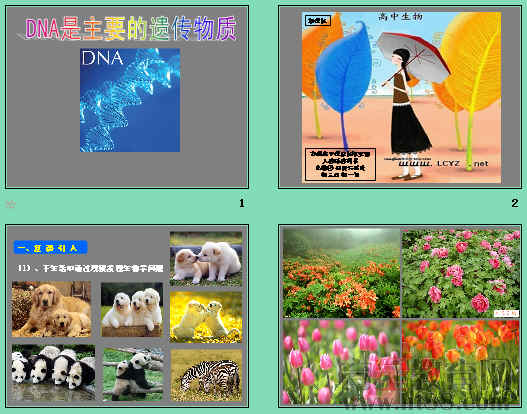 查看预览图