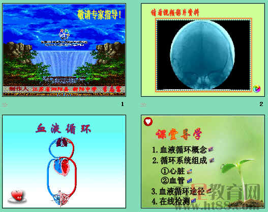 鿴Ԥͼ
