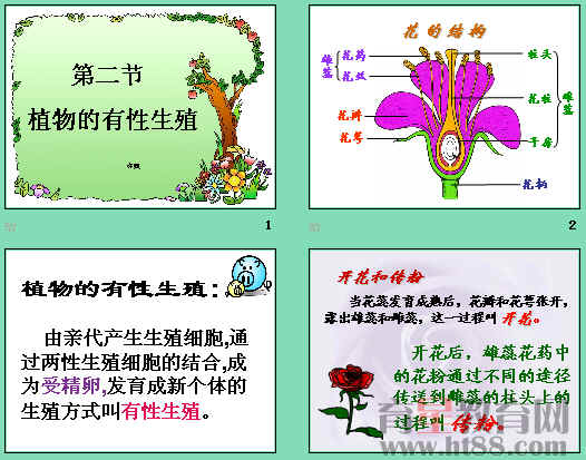 鿴Ԥͼ