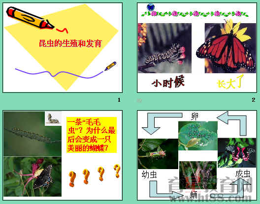 鿴Ԥͼ