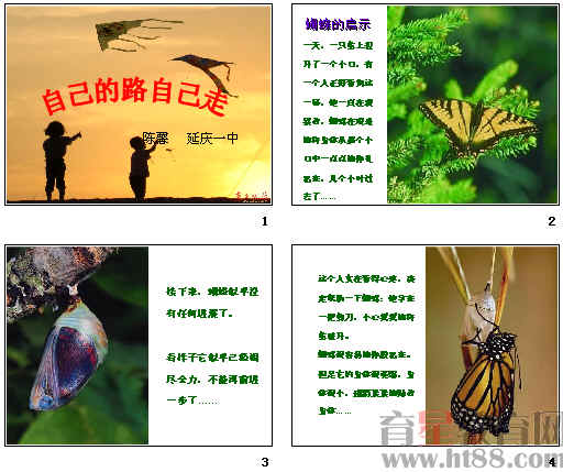 查看预览图