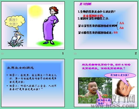 查看预览图