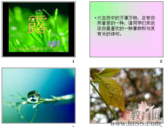 查看预览图