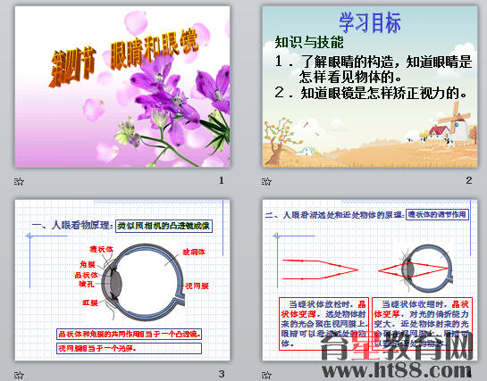 鿴Ԥͼ