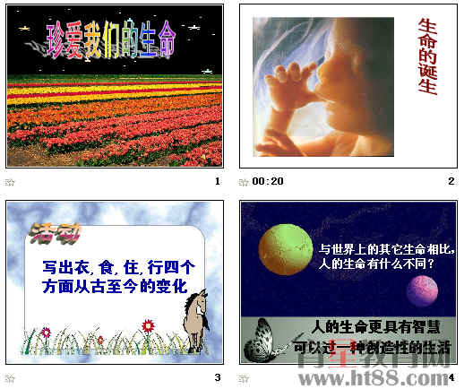查看预览图