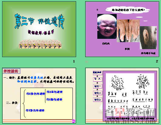 鿴Ԥͼ