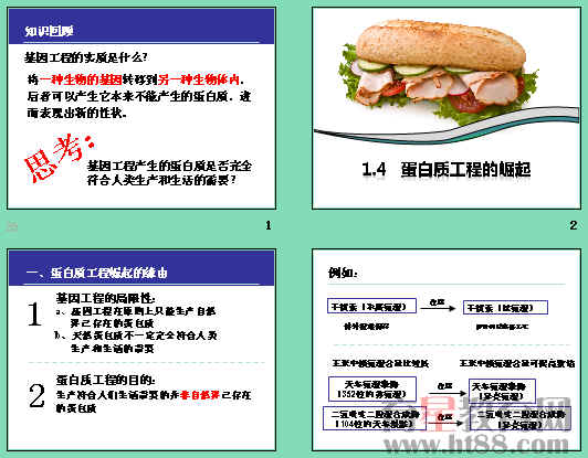 查看预览图