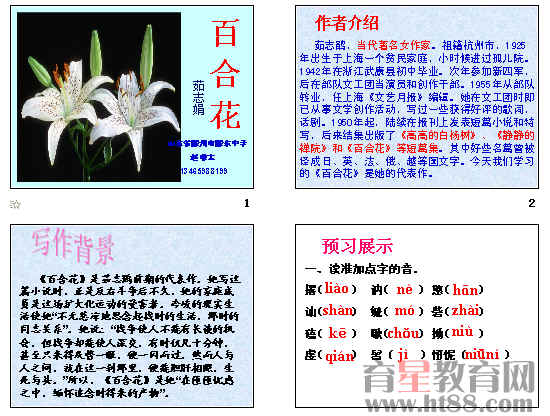 查看预览图