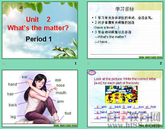 鿴Ԥͼ