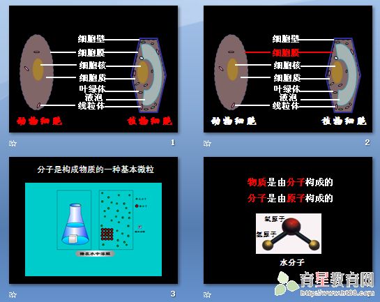 查看预览图