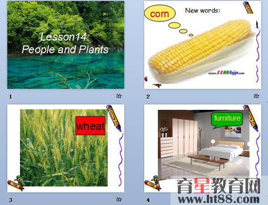 鿴Ԥͼ