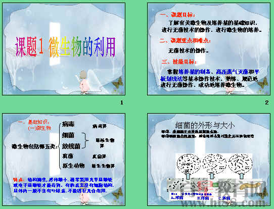鿴Ԥͼ