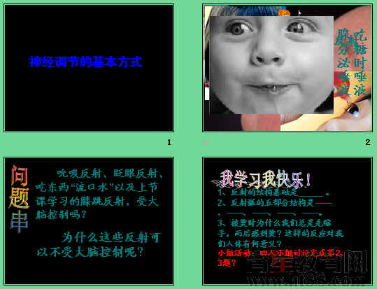 鿴Ԥͼ