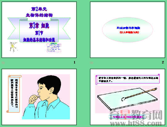 鿴Ԥͼ