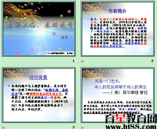 查看预览图